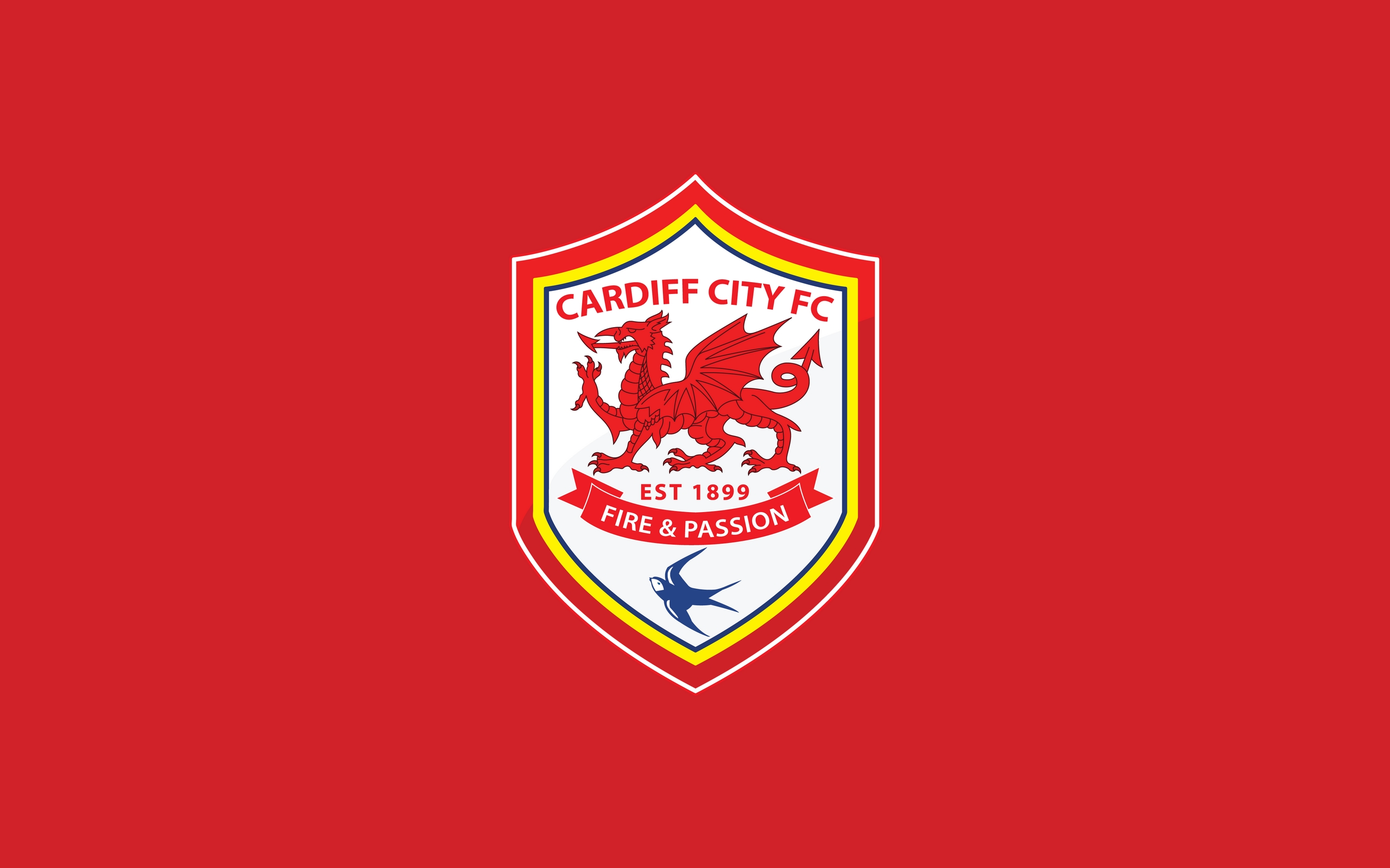 Cardiff City FC Primary logo t shirt iron on transfers